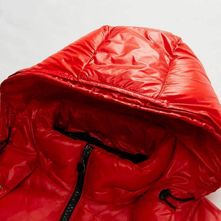 Men's Hooded Insulated Puffer Quilted Jacket Full-Zip