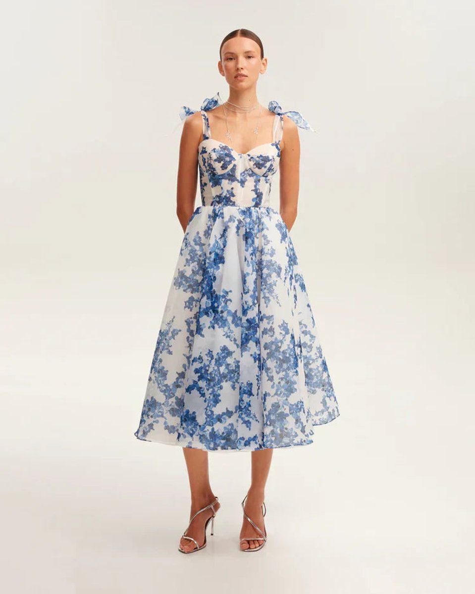 Women's Floral Organza Tie-Shoulder Fall Midi Dress